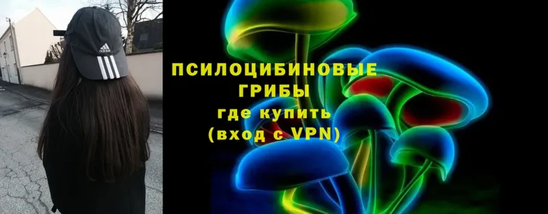 Галлюциногенные грибы Magic Shrooms  закладки  MEGA ссылка  Мариинский Посад 